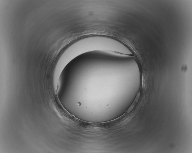 X0000115100205200911171249