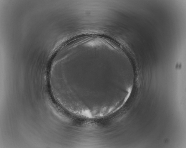 X0000115100207200911171249