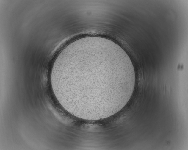 X0000115100208200911171249