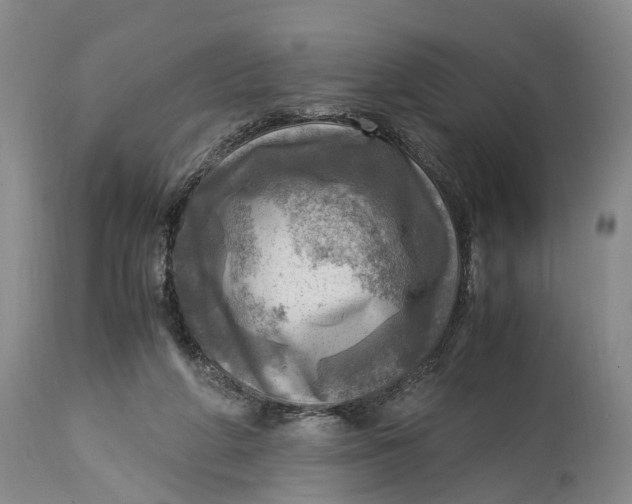 X0000115100210200911171248