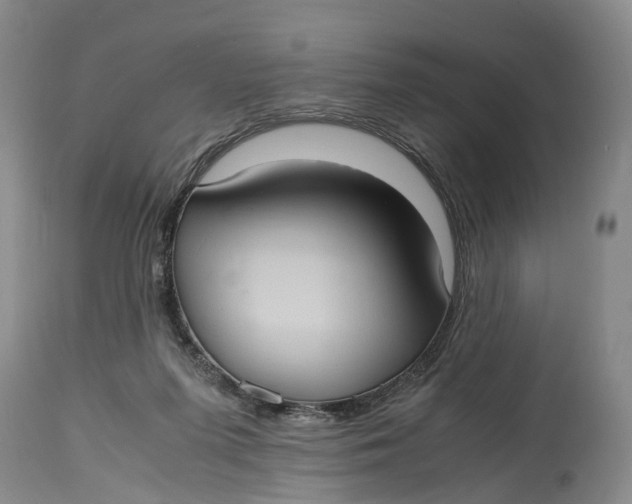 X0000115100215200911171248