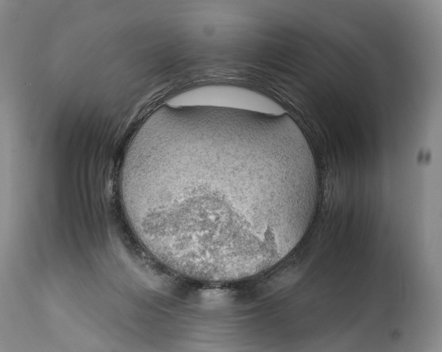 X0000115100216200911171248