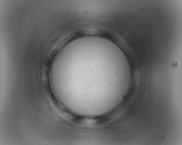 X0000115100217200911171248