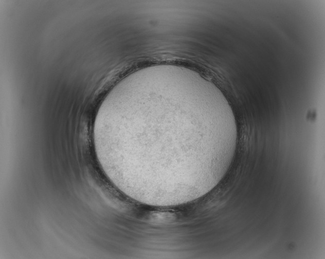 X0000115100220200911171248