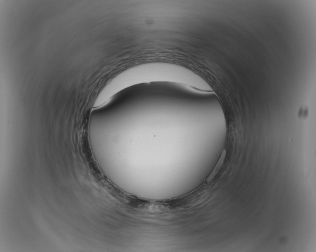 X0000115100223200911171248