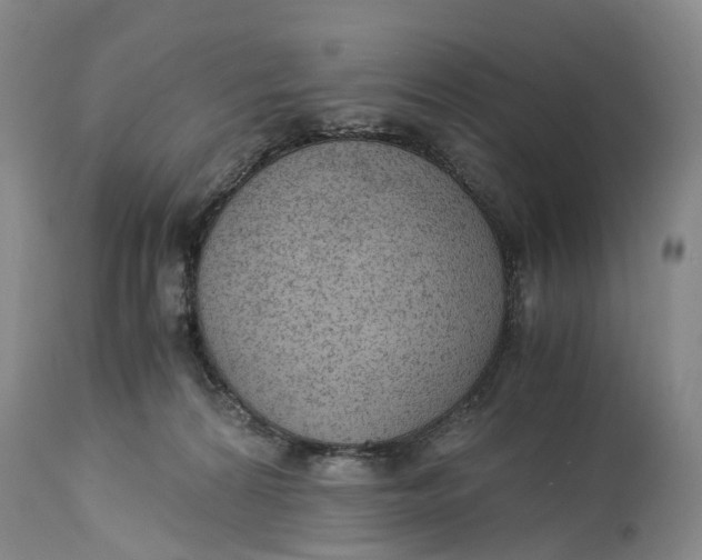 X0000115100224200911171248