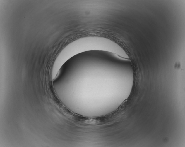 X0000115100225200911171248