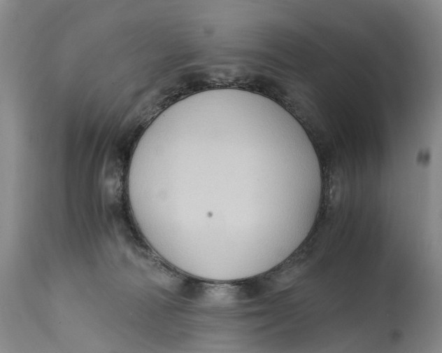 X0000115100226200911171248