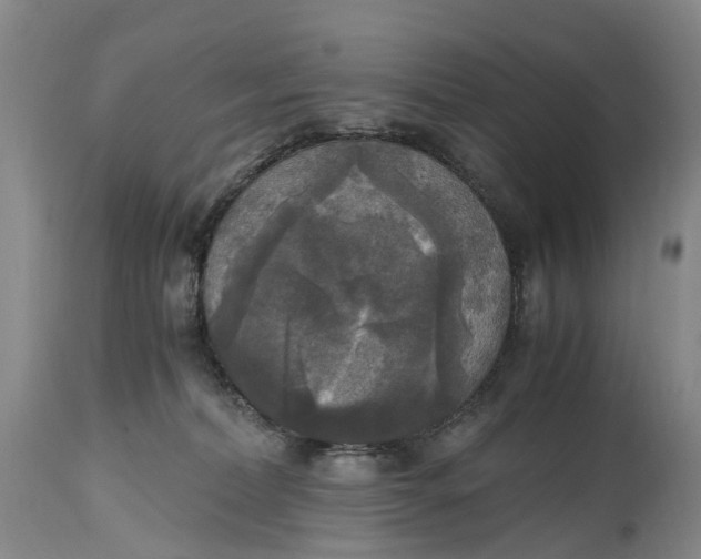 X0000115100228200911171248