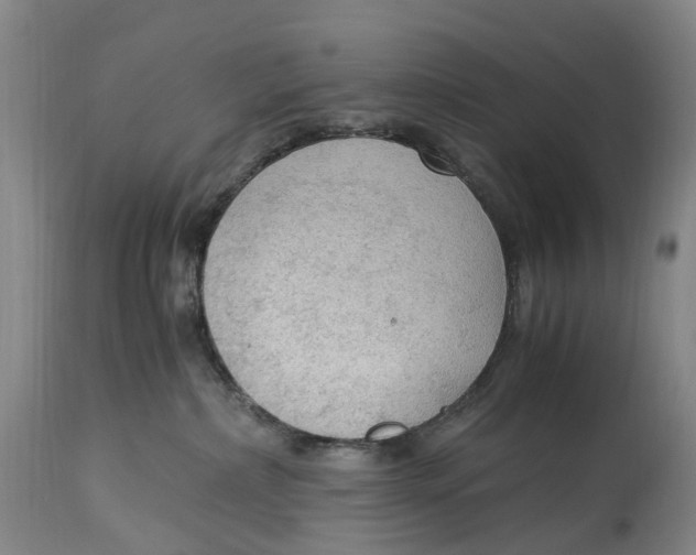 X0000115100236200911171248