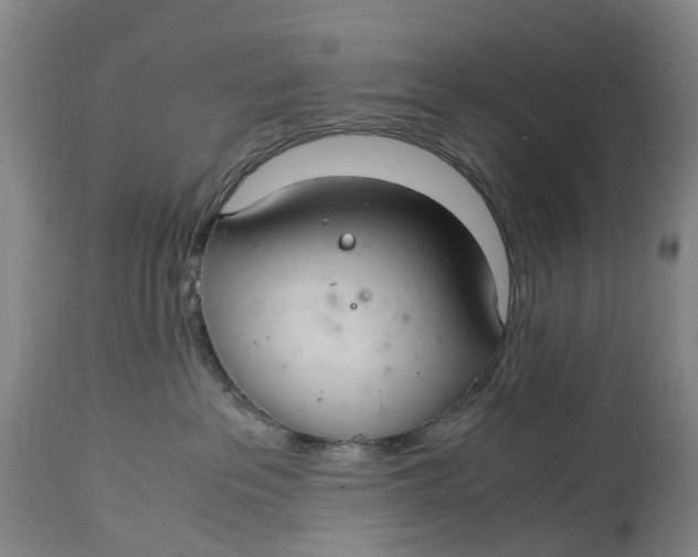 X0000115100237200911171248