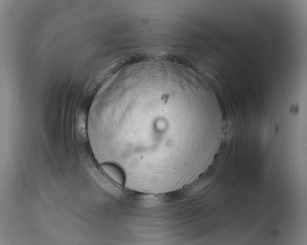 X0000115100238200911171248