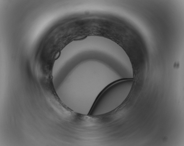 X0000115100239200911171248