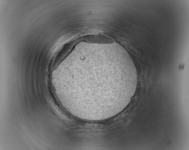 X0000115100242200911171247