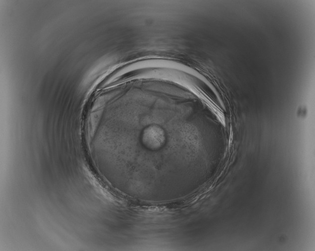 X0000115100243200911171247