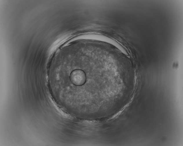 X0000115100245200911171247