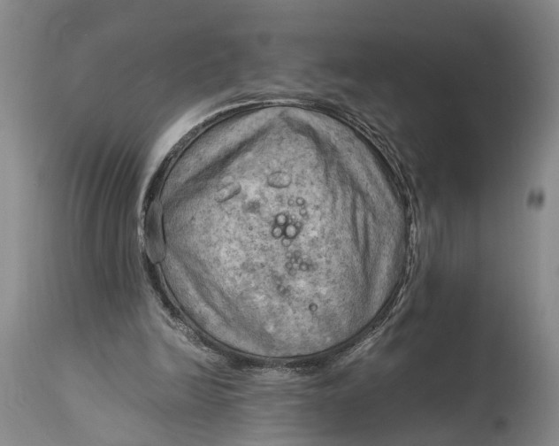 X0000115100246200911171247