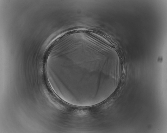 X0000115100247200911171247