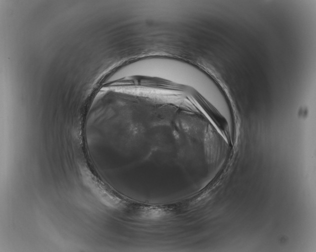 X0000115100249200911171247