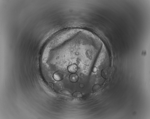 X0000115100250200911171247