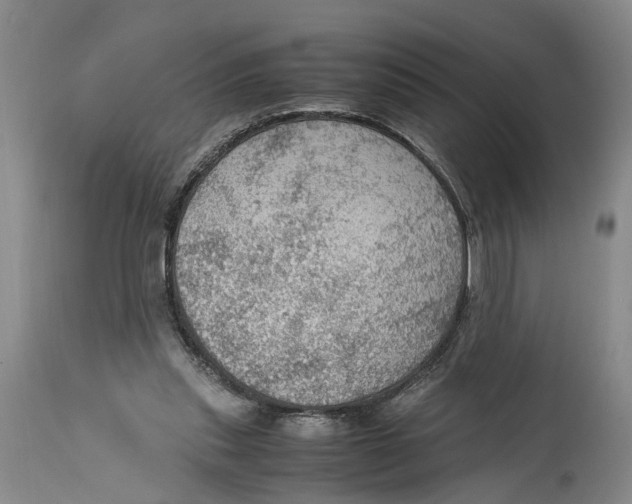 X0000115100253200911171247