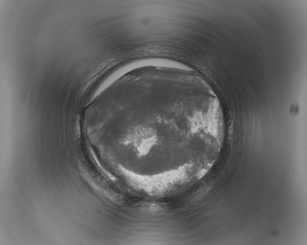 X0000115100254200911171247