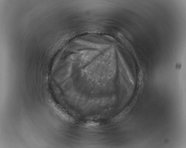 X0000115100257200911171248