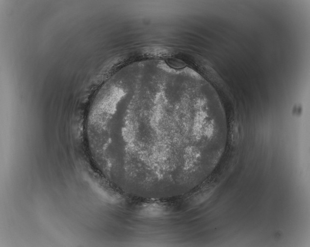 X0000115100259200911171248