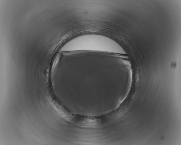 X0000115100260200911171248