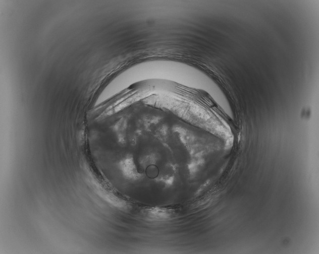 X0000115100261200911171248