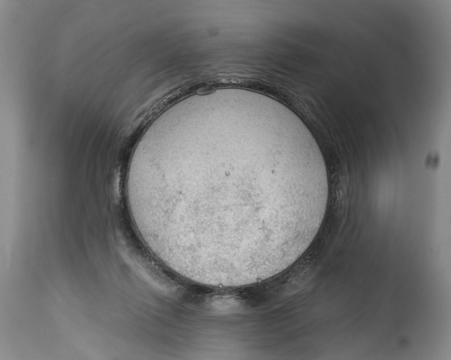 X0000115100262200911171248