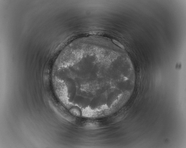 X0000115100263200911171248