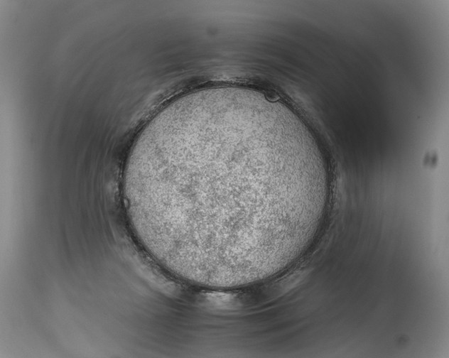 X0000115100265200911171248