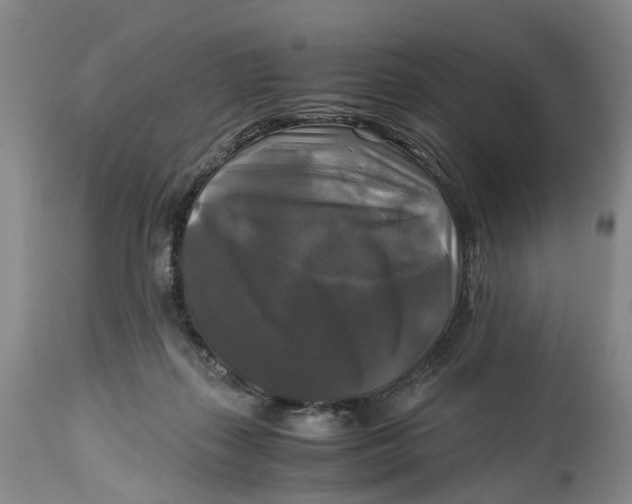 X0000115100267200911171248