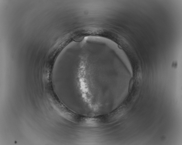 X0000115100268200911171248