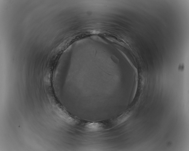 X0000115100269200911171248