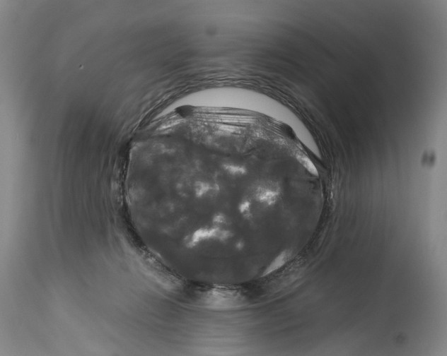 X0000115100270200911171248