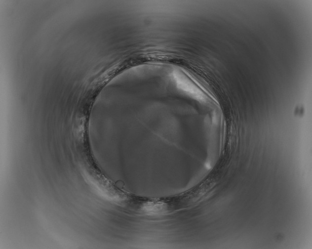 X0000115100271200911171248