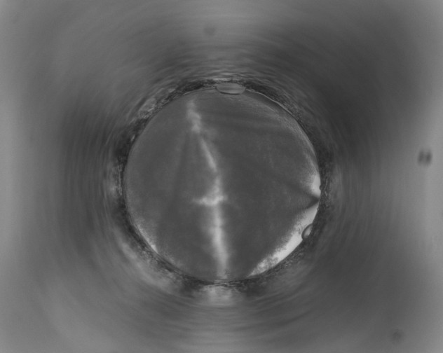 X0000115100272200911171248