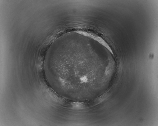 X0000115100273200911171248