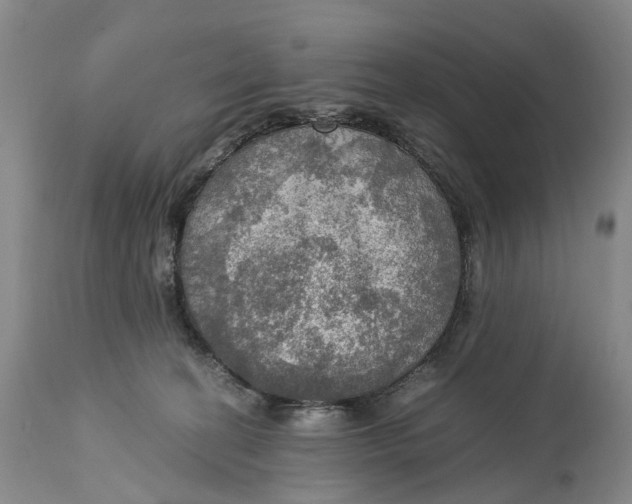 X0000115100274200911171248