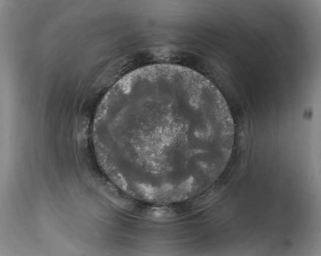 X0000115100275200911171248