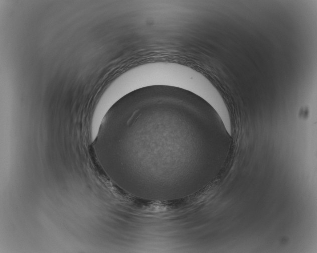 X0000115100276200911171248