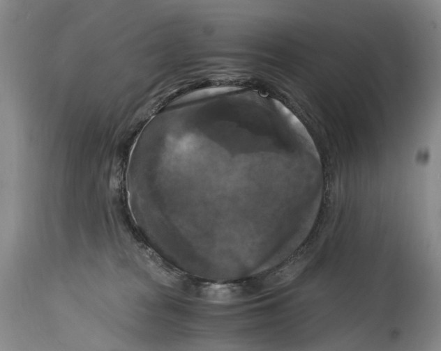 X0000115100277200911171248