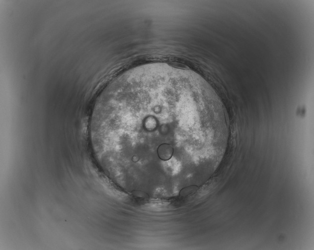 X0000115100278200911171248