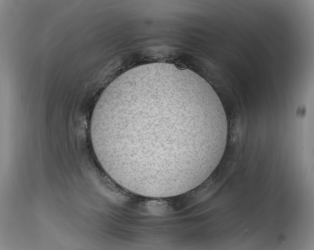 X0000115100279200911171248