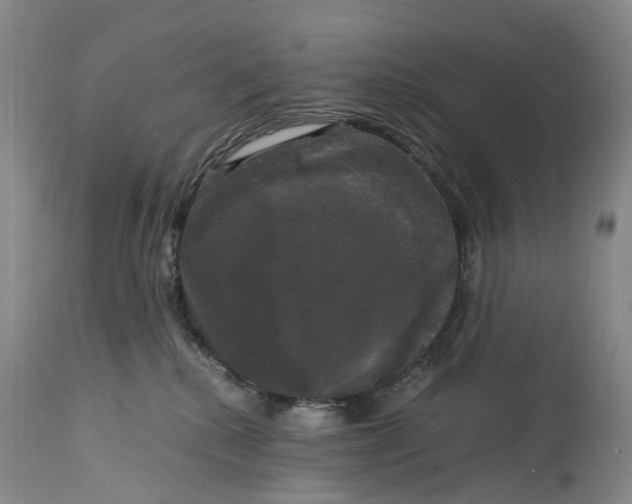 X0000115100280200911171248