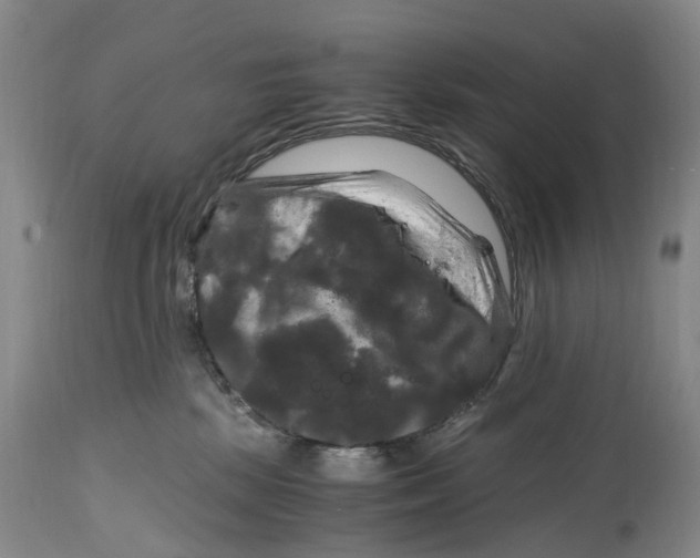 X0000115100281200911171248