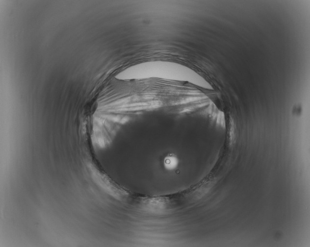 X0000115100282200911171248