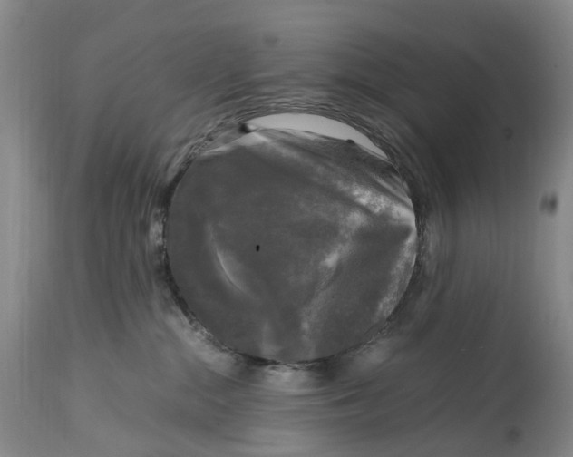 X0000115100284200911171248